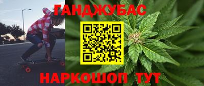 крисы Камышлов