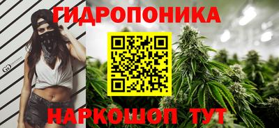 крисы Камышлов