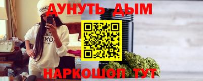 крисы Камышлов