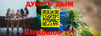 крисы Камышлов