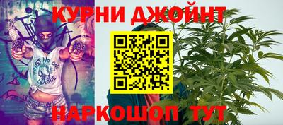 крисы Камышлов