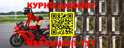 крисы Камышлов