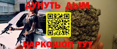 крисы Камышлов