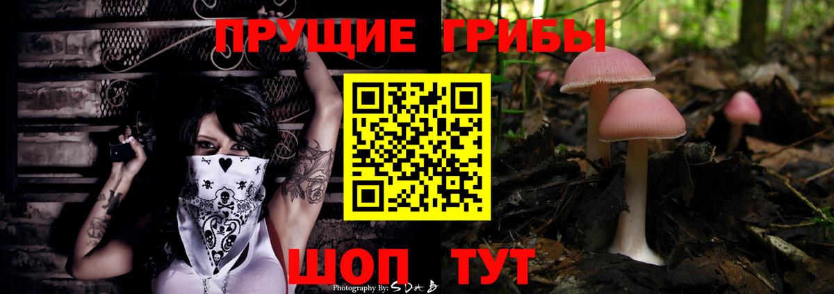 Галлюциногенные грибы мицелий Ессентуки